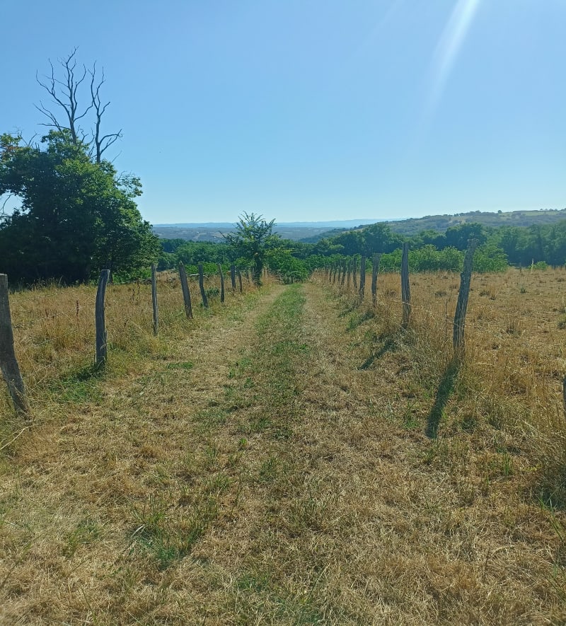 Tour depuis Le Lardin - Le Lardin-Saint-Lazare