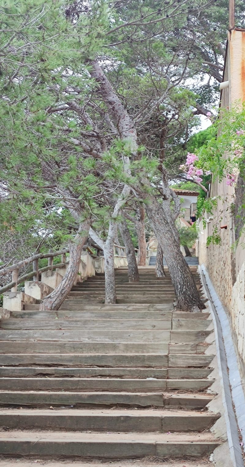 Rando de la Platja d'Aro à Sant Feliu de Guixols - Platja d'Aro