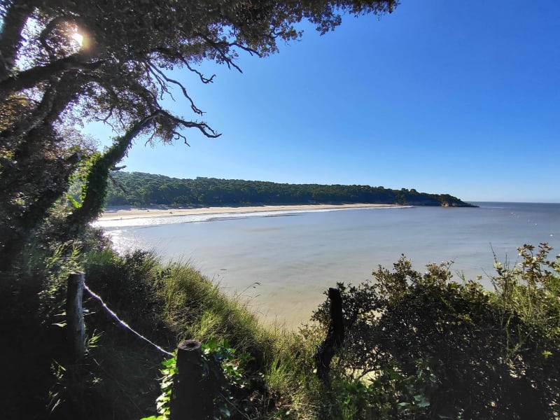 Promenade à Suzac - Meschers-sur-Gironde