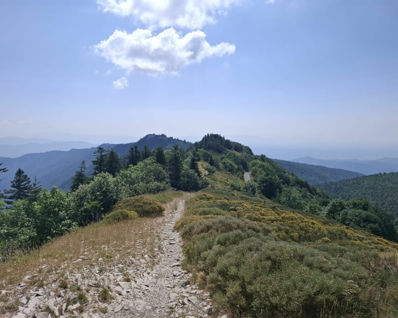 Les crêtes du sommet de Lure au Cairn 2000 - Saint-Étienne-les-Orgues