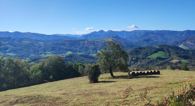 La Rhune depuis Ibardin - Bera