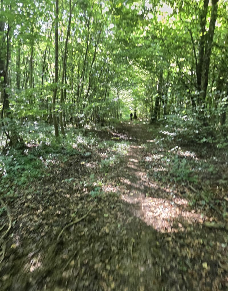 Rando VTT depuis Angecourt - Angecourt