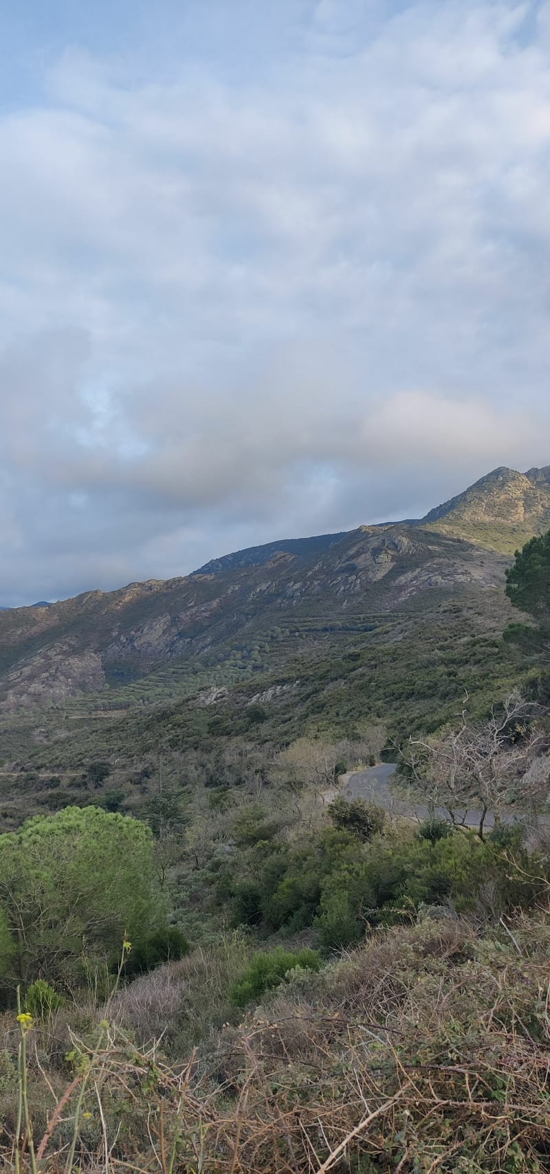 Puig de Sallfort par le col de Banyuls - Molinàs