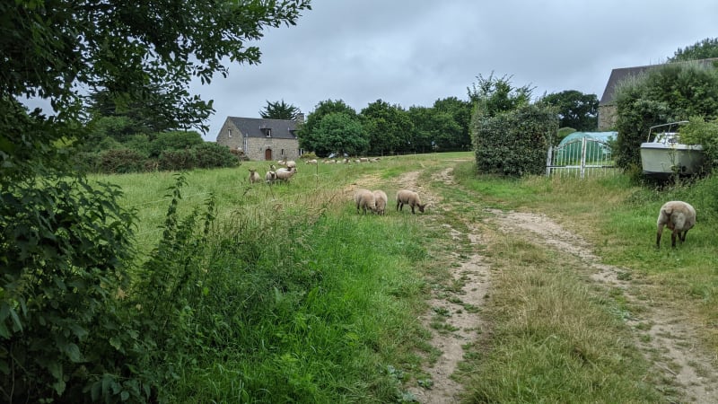 Balade à Néville sur mer - Vicq-sur-Mer