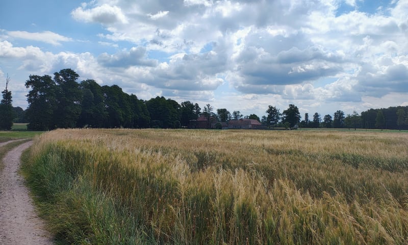 Trasa leśna okolice Kosorowic Danca i Chrząstowic - Opole