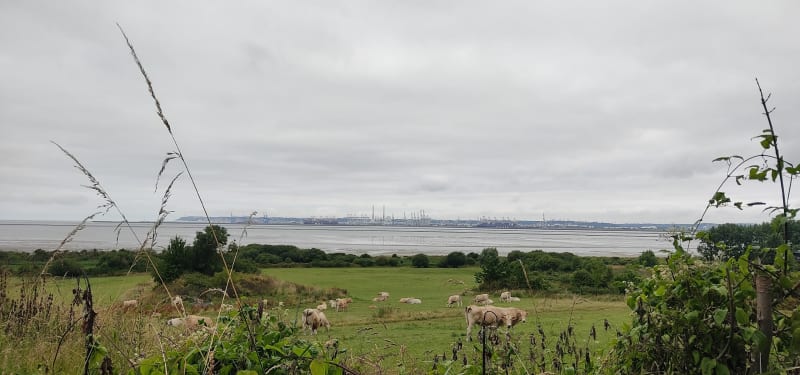 Vers Deauville au départ du Havre - Montivilliers