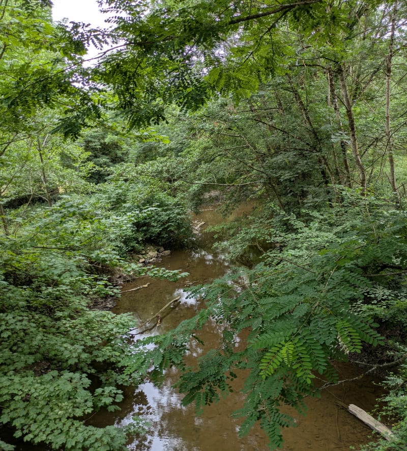Grenoux - voie verte vers Saint-Berthevin - Laval