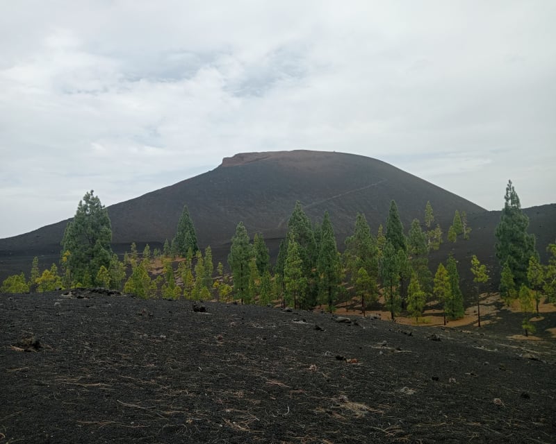Volcan Chinyero depuis San José - San José de los Llanos