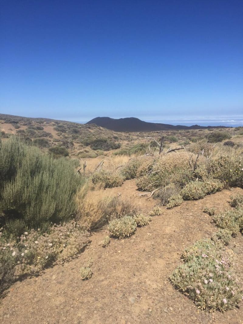Le volcan de Fasnia - Las Cañadas del Teide