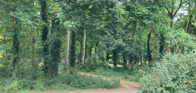 Boucle autour de Savigny-sur-Orge - Savigny-sur-Orge
