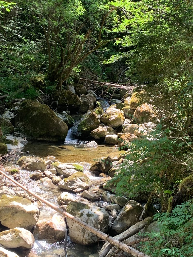 Chemin de la Chery - Saint-Jean-d'Aulps