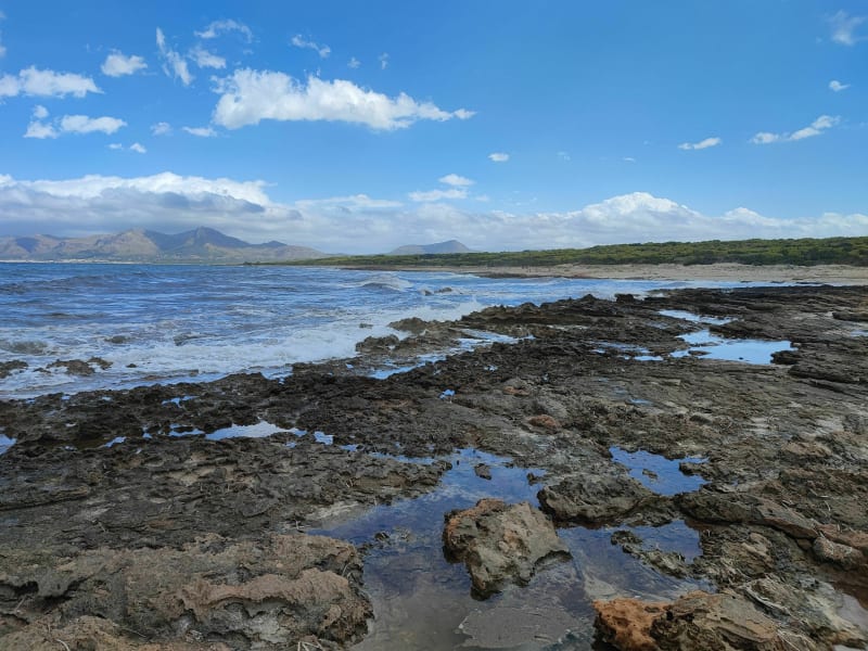 Balade familiale à Majorque de la plage au Finca Son Real - Can Picafort