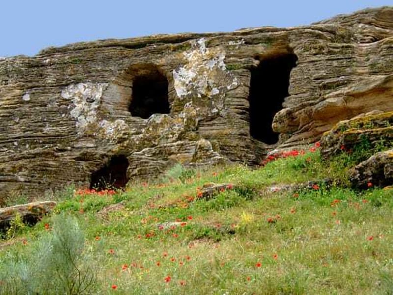 Randonnée à Tarifa : Exploration de Los Algarbes, Betijuelo et Punta Paloma - Betis
