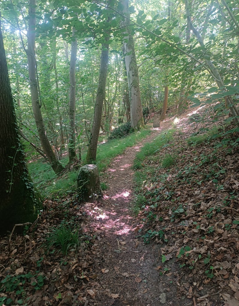 De La Rochette à Brolles - La Rochette