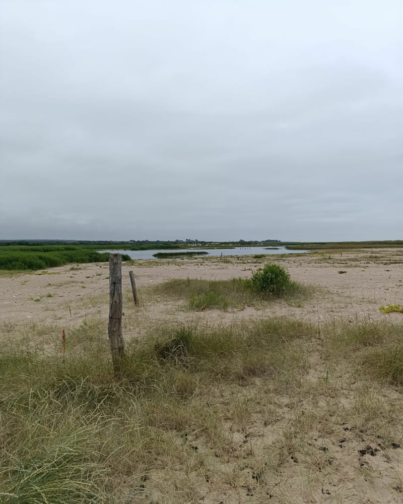Balade autour de Réthoville - Vicq-sur-Mer