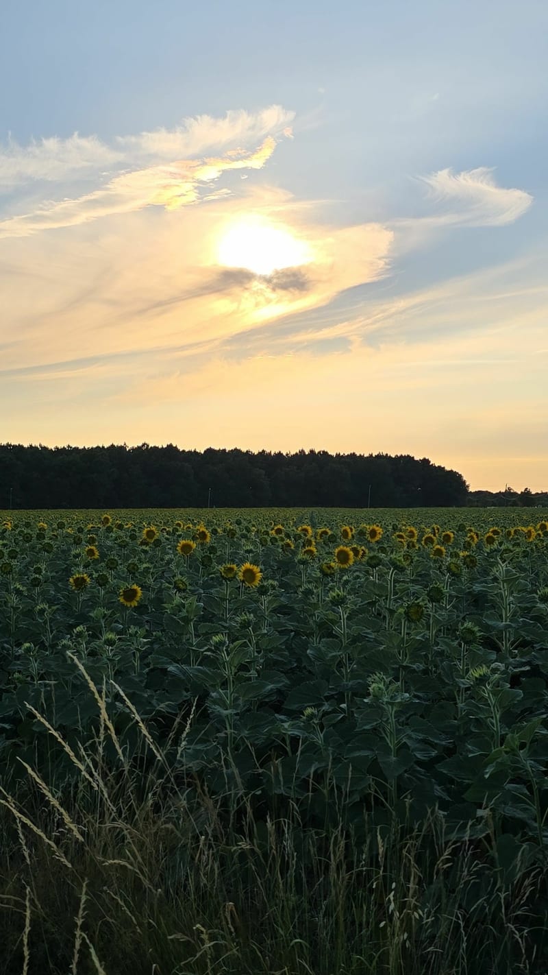 Balade entre Preuilly sur claise et Yzeure - Preuilly-sur-Claise