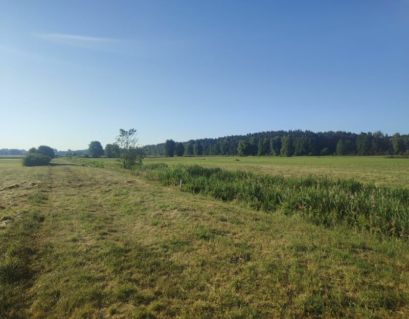 Na Kielecczyznoe - Strzeszkowice