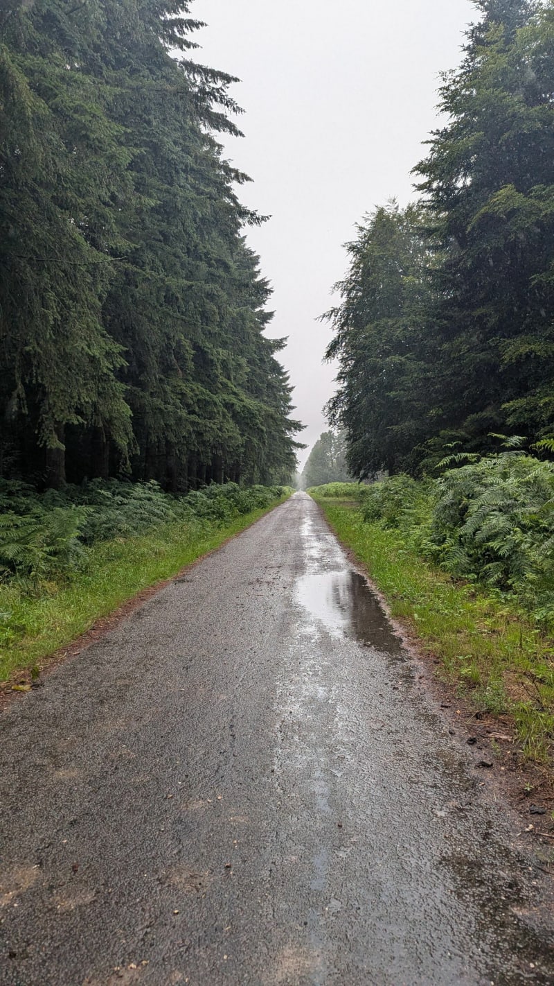 La Forestière à Crécy en Ponthieu - Crécy-en-Ponthieu