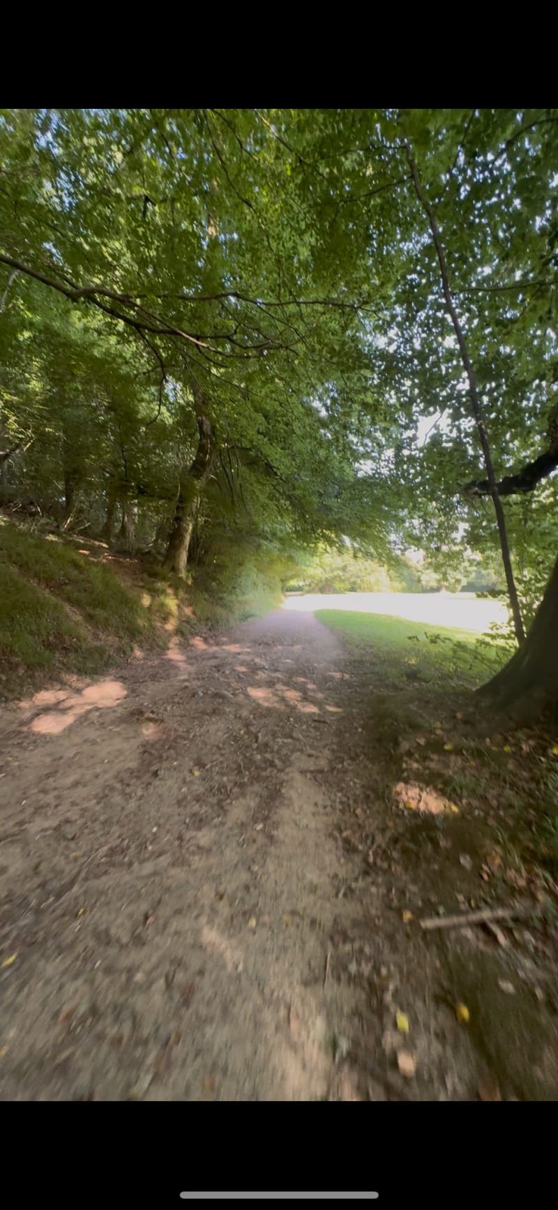 Course à pied aux environs de Jurançon - Jurançon