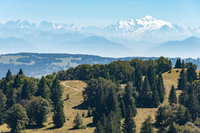 Escapade au crêt de Chalam depuis Forens - Chézery-Forens