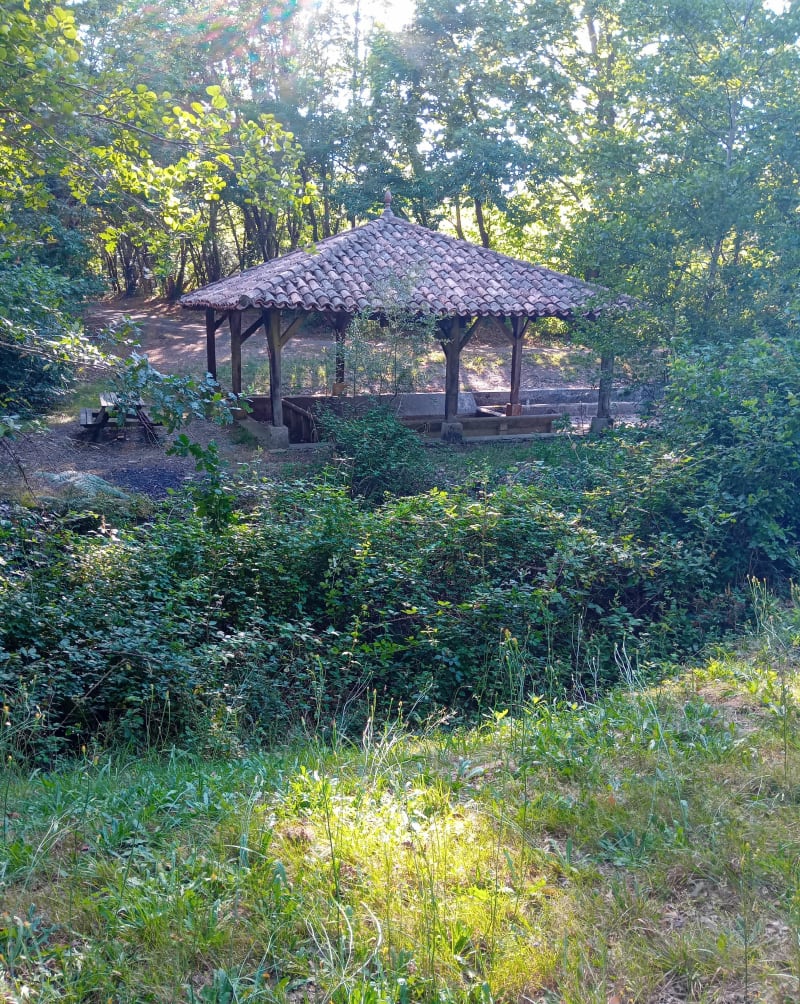 Marche  dans les pins de Buglose autour du Lavoir - Saint-Vincent-de-Paul