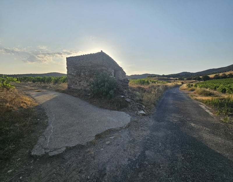 Força Réal par Montner - Montner