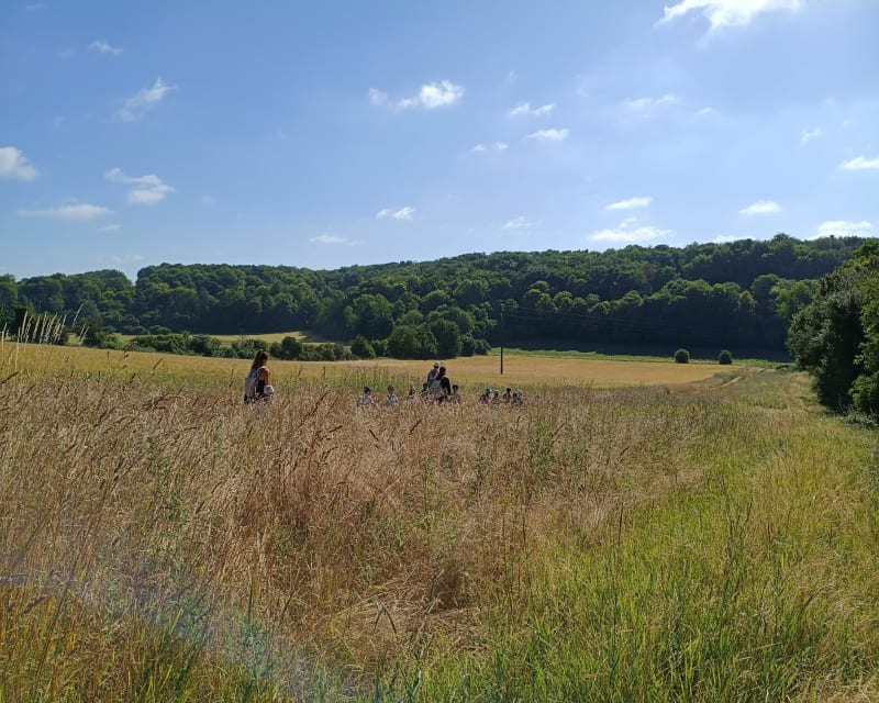 Dans la campagne de Jouy-sous-Thelle - Jouy-sous-Thelle