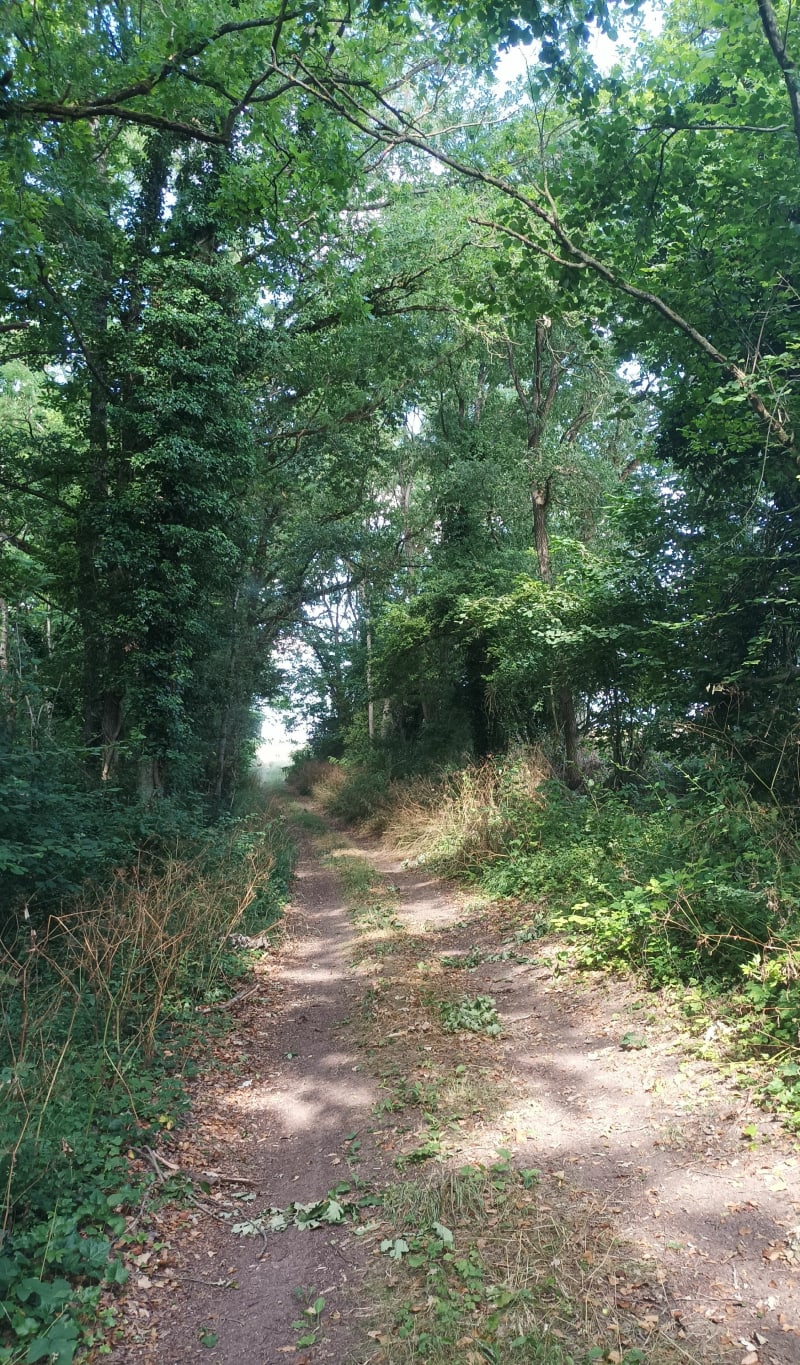 Petir tour en campagne beauceronne - Gommerville