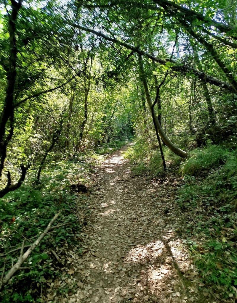 Marche nordique dans le parc du Sinodon - Roquefort-les-Pins
