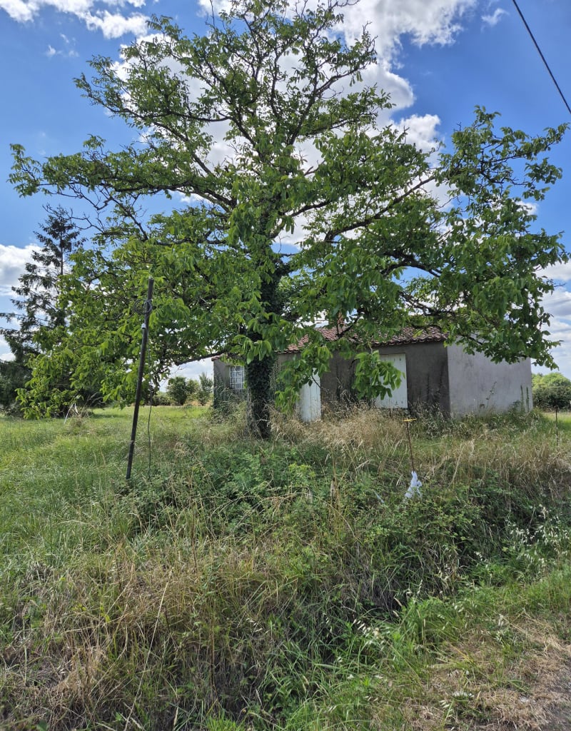 Balade du Pallet par Bonne-Fontaine - Le Pallet