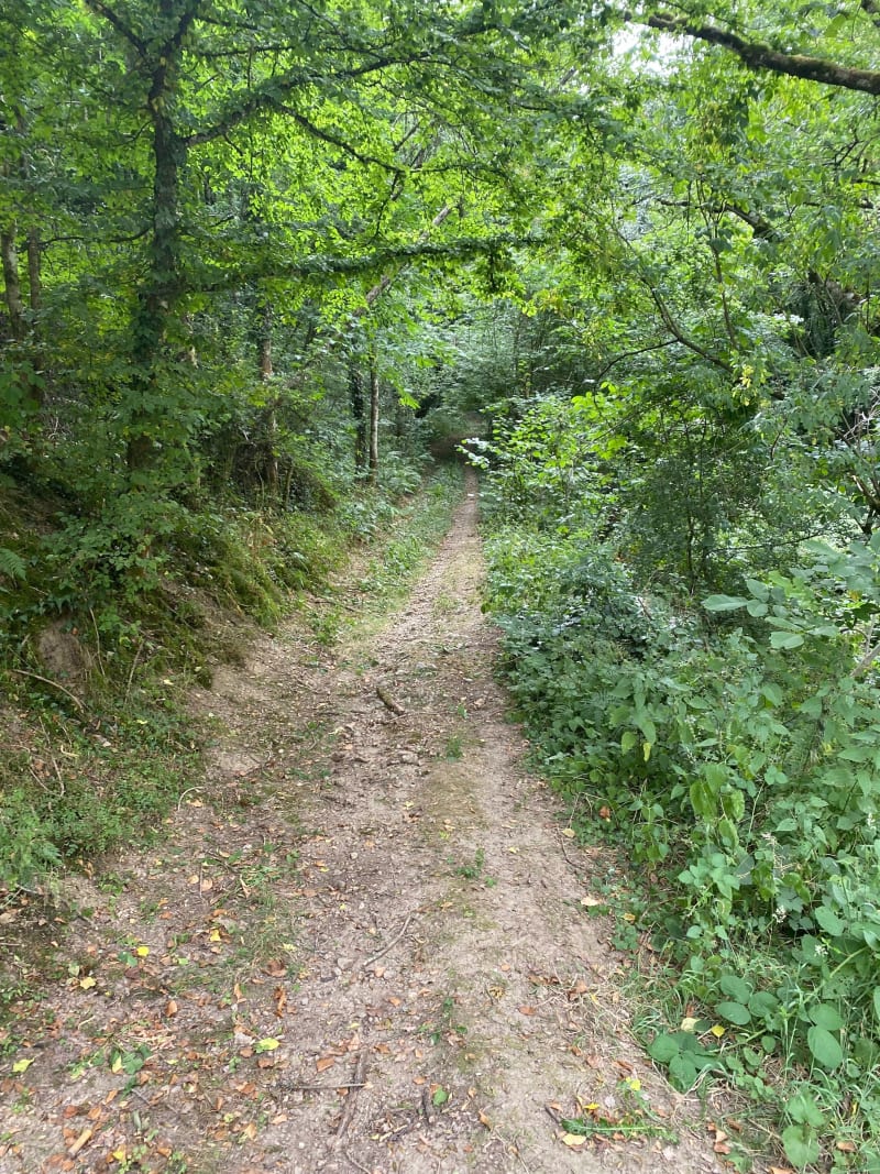 En Forêt jusqu’àu Crêt de Lacrampe - Ville-sur-Jarnioux