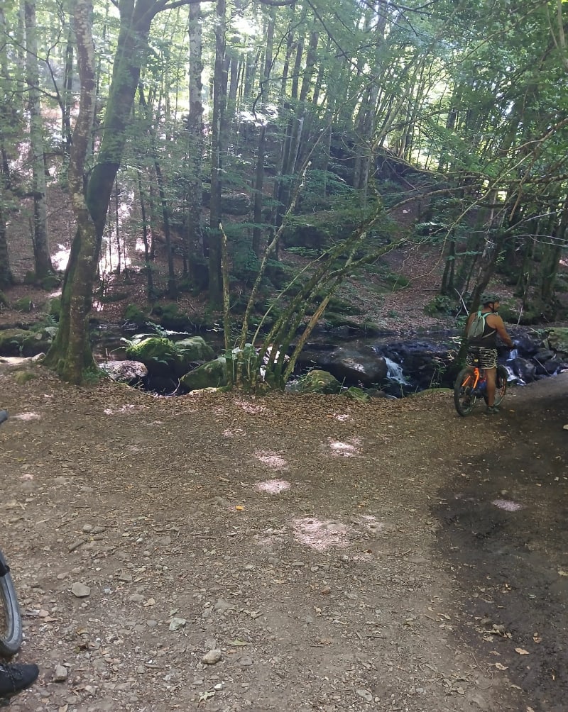 Autour de La Salvetat - La Salvetat-sur-Agout