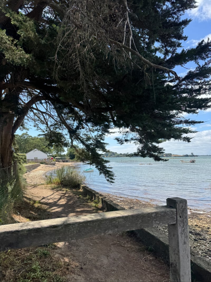 Balade  côté Golfe - Sarzeau