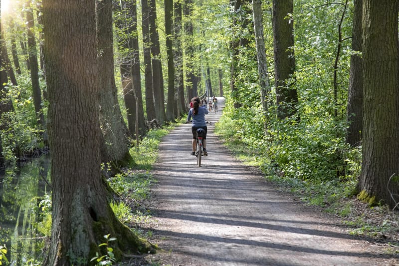 Tour de la côte du Pech - Pujols