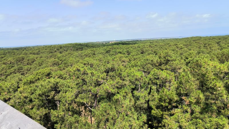 Le pic du Pey de la Blet - La Barre-de-Monts