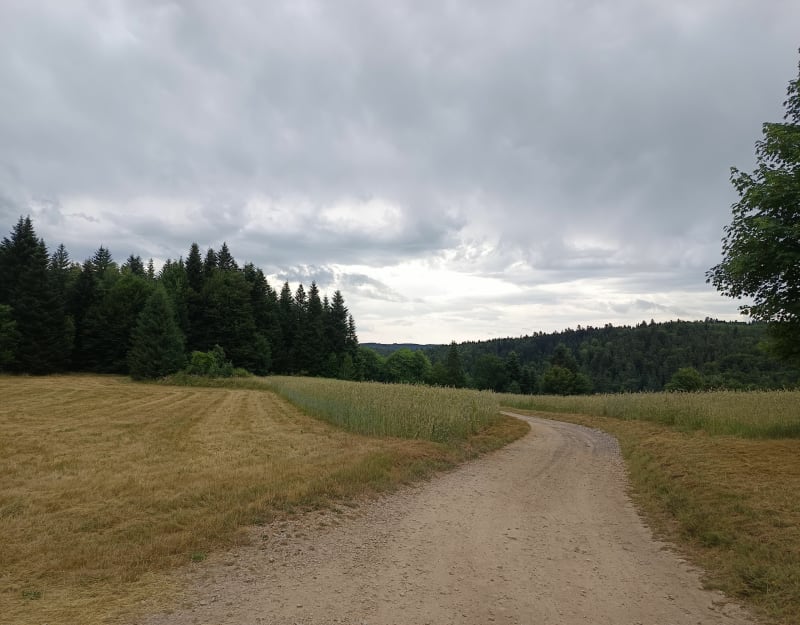 Du Pont de Mars au Chambon - Le Chambon-sur-Lignon