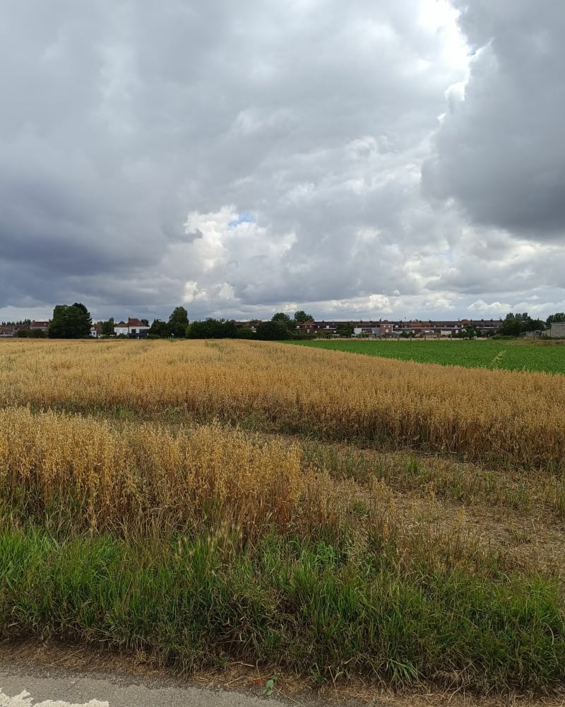 Santes centre et les alentours, par les Lacherie - Santes