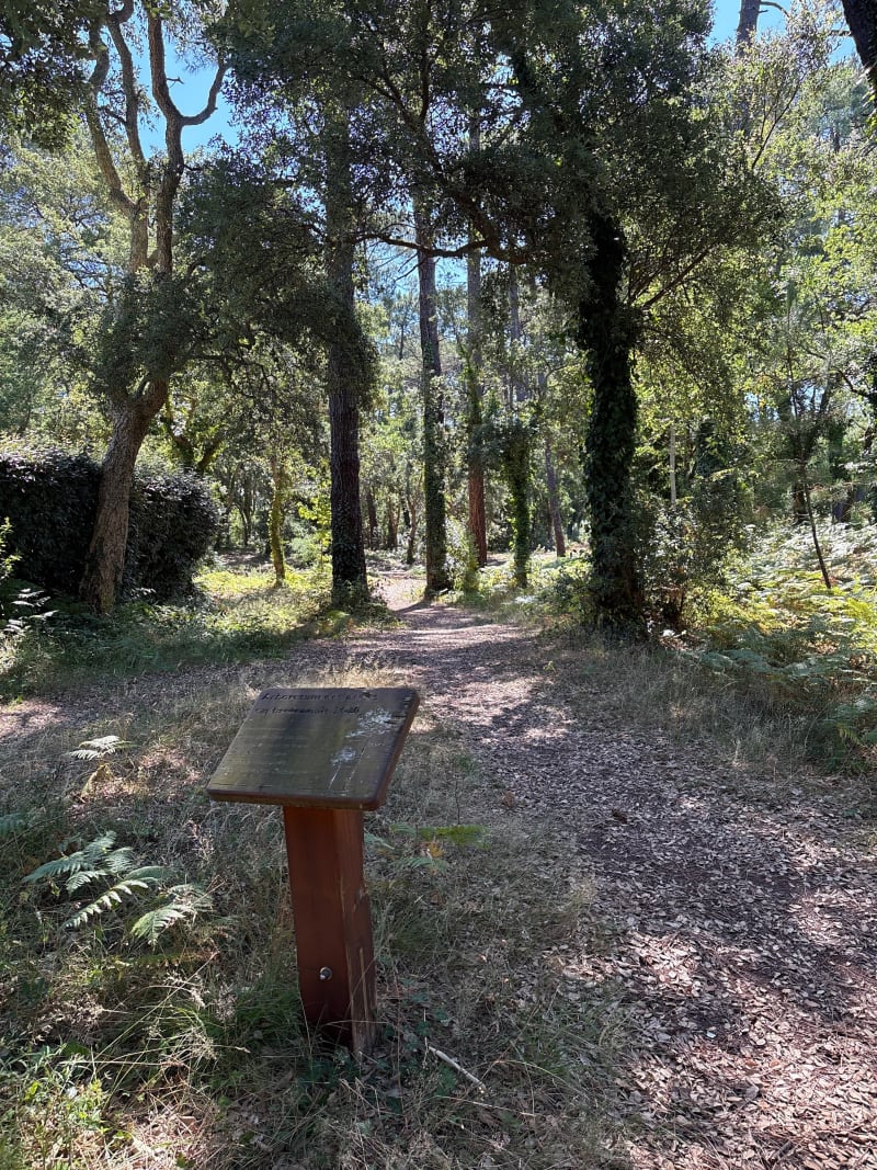 Balade en bordure de bois autour de Capbreton - Capbreton