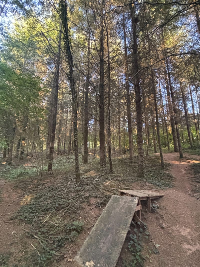 Bois de Linars - Olemps