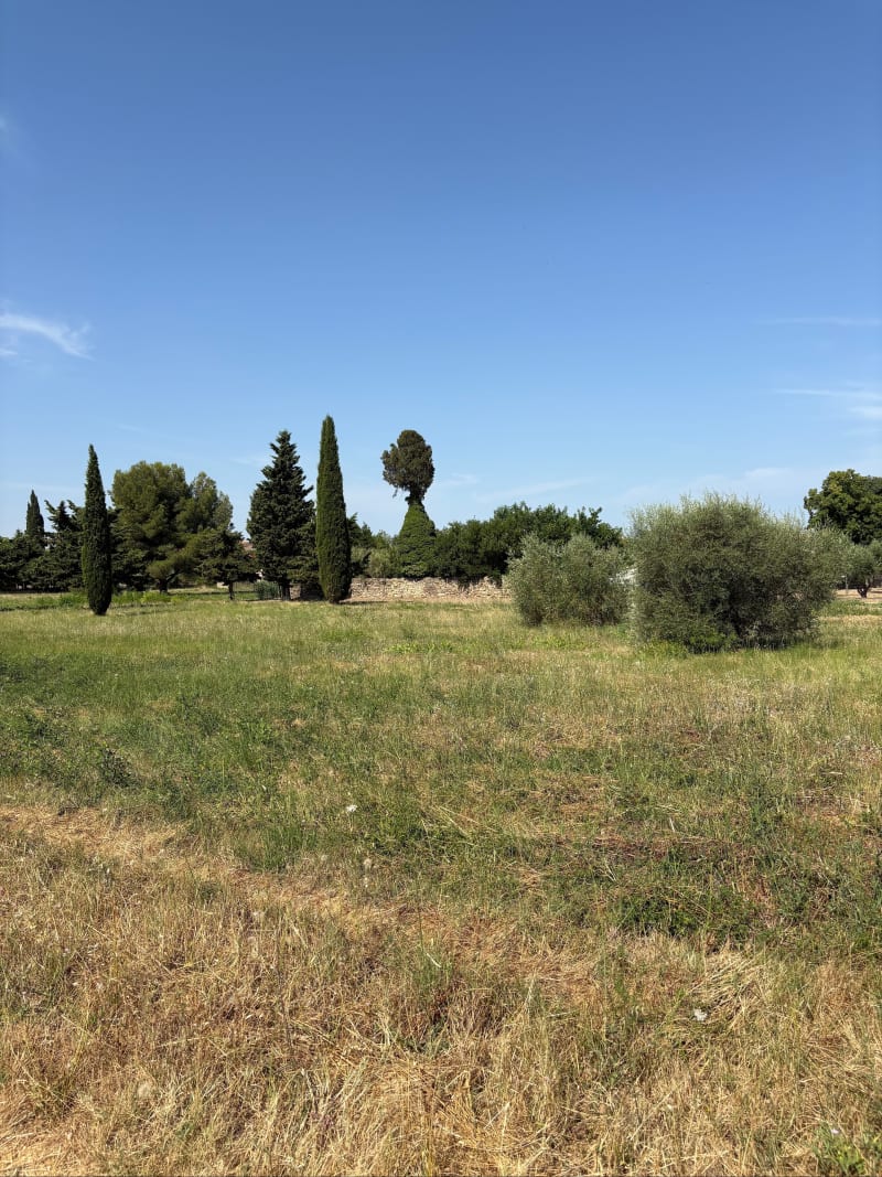 Balade en garrigue - Saint-Pargoire