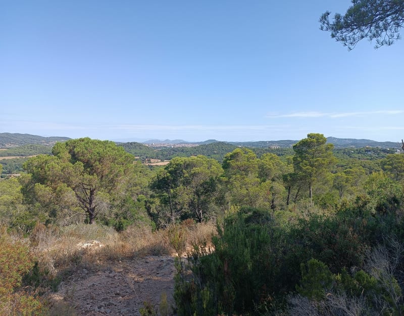 Entre pinède et bord de mer - Palamós
