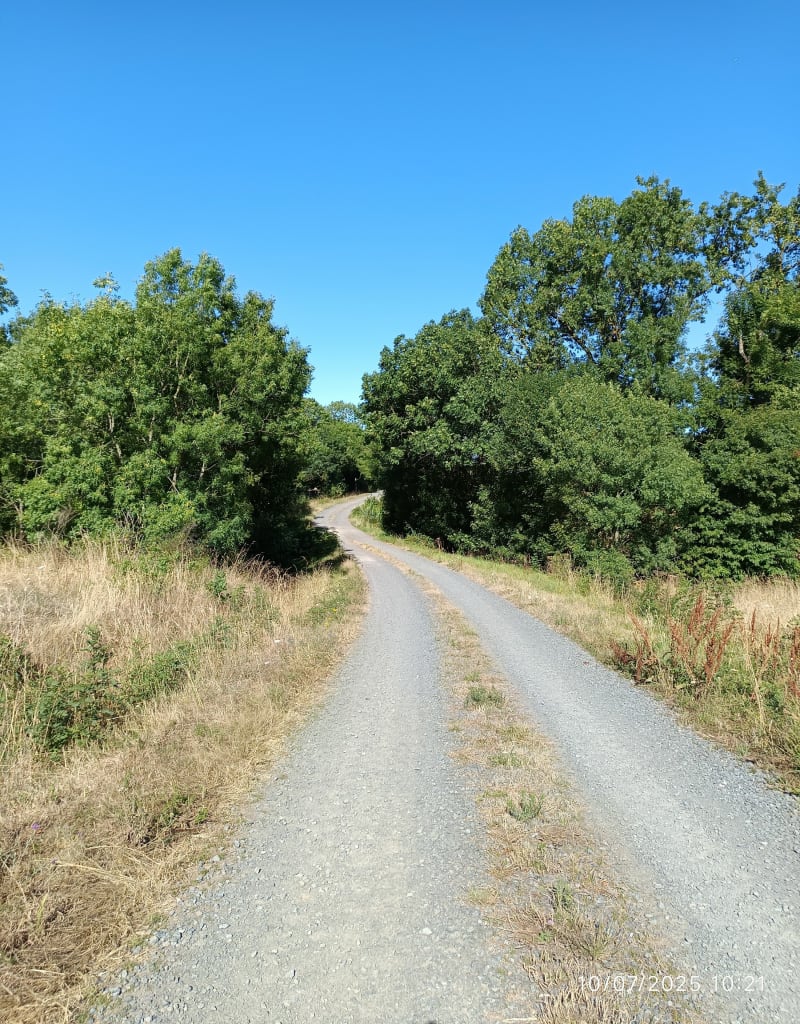 Boucle entre La Guilbaudière et La Bodinière - Le Landreau