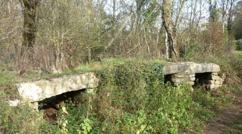 Petite rando proche de Niort - Niort