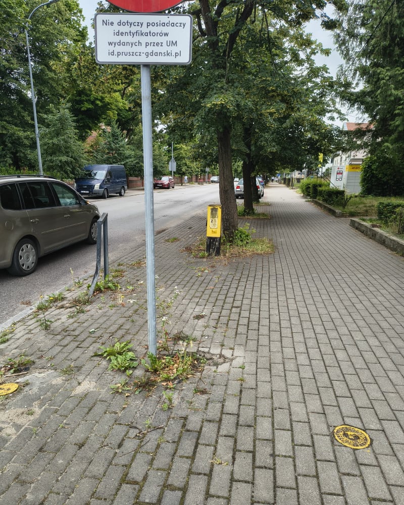 Droga z Pruszcza do Przyczółek - Pruszcz Gdański
