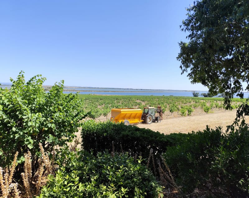 Balade tranquille entre Palavas et Maguelonne - Palavas-les-Flots