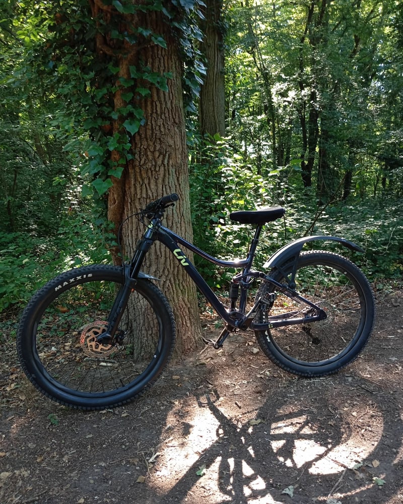 Boucle dans les forêts yvelinoises - Lévis-Saint-Nom