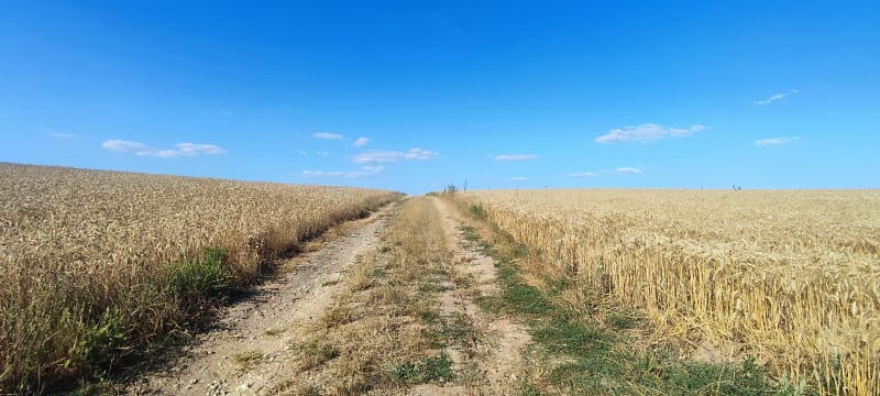 Ecquevilly, Chapet, Brézolles par l'A13 - Ecquevilly