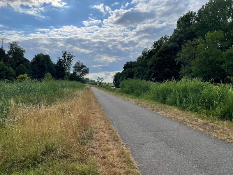 Le long du canal du Rhône au Rhin - Heidwiller