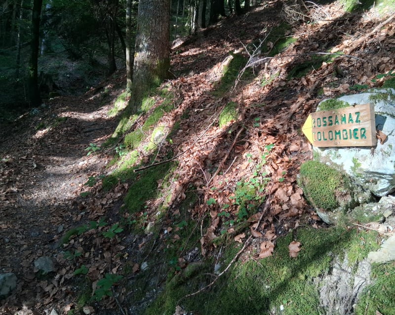Mont Colombier au départ de Montlardier - Le Châtelard