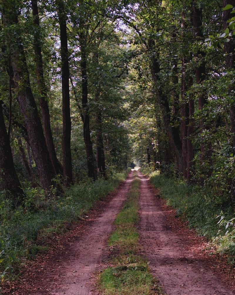 Górki - Cisowemk - Józefów